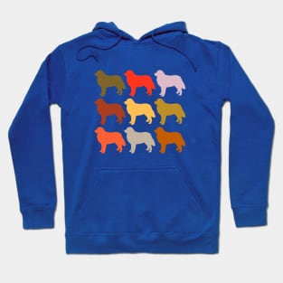 Bernese Mountain Dog in Rainbow Colors Hoodie